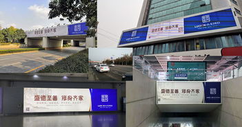 探索財富傳承新路徑 Lucion山東國信家族信托品牌推廣與軟件開發全解析